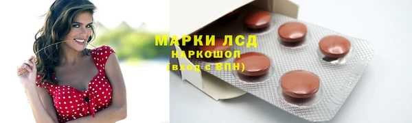 PSILOCYBIN Переславль-Залесский