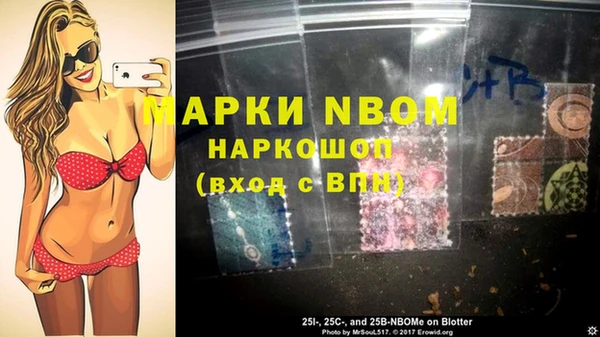 стафф Алексин